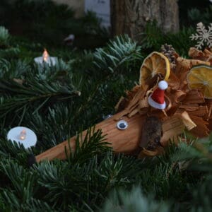 Winterworkshops (Maker- Advent 2025)